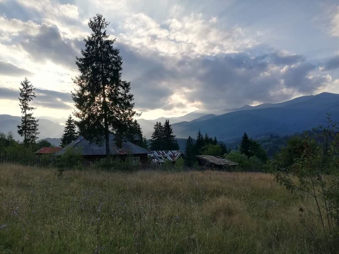 Проживание в семье Căsuța din pădure de la Câmpu lui Neag Cîmpu lui Neag-34
